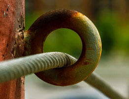 在线手机号呼死你